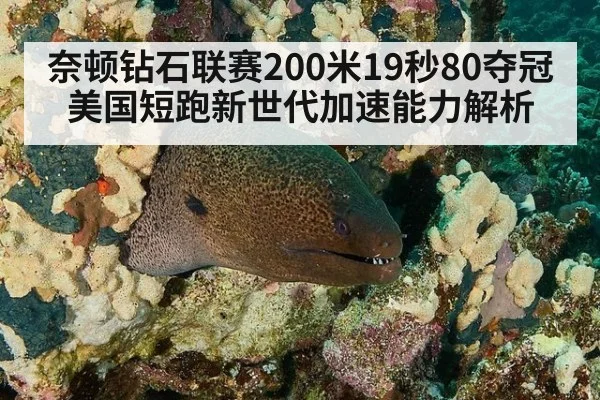 奈顿钻石联赛200米19秒80夺冠 美国短跑新世代加速能力解析